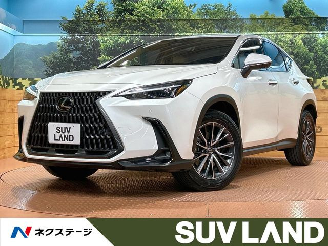 NX(レクサス) 250 中古車画像
