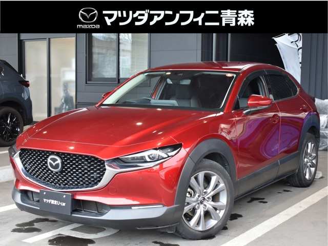 CX-302.0 20S プロアクティブ