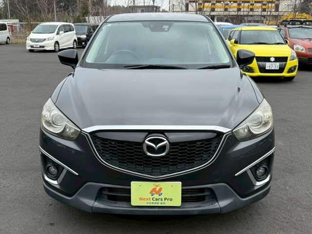 ���X�݌ɂ͊O���A�����N���[�j���O��ɓW�����A�����Ď��̏C�����̗L���A���[�^�[��������̗L������O�ҋ@�ւɂ�錟����S����{���Ă���܂��B�Ԍ��A�����A����h�������ЂőΉ��ł��܂��̂ł����S���������B