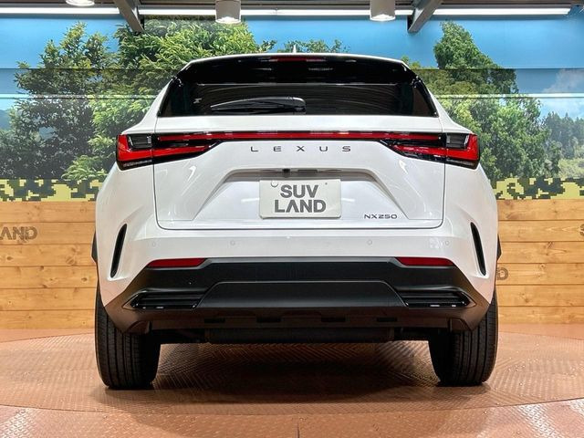 安心の最長10年・走行無制限保証(有償)をご用意。保証内容も充実はもちろん、無料点検&オイル交換や、年中無休の全国・24時間ロードサービスも付帯されておりますのでご安心下さい。