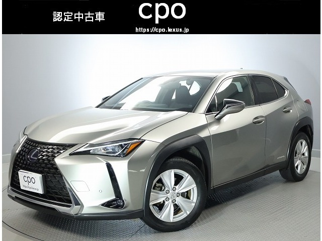 UX250h バージョンC