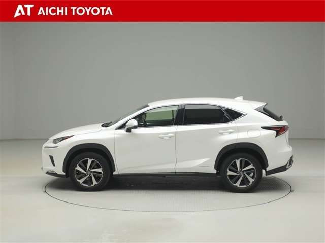 NX300h Iパッケージ