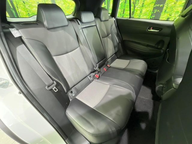 �㕔���Ȃ��C�ɂȂ�悤�ȃL�Y�E�����ւ��蓙�A�傫�ȃ_���[�W�͂Ȃ��A�ǍD�ȏ�Ԃł��B