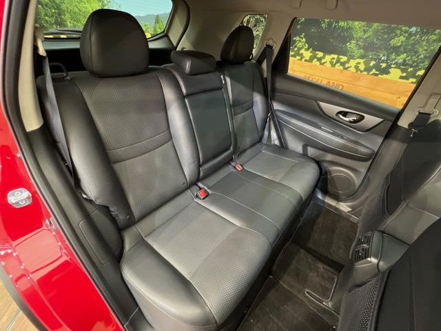 �㕔���Ȃ��C�ɂȂ�悤�ȃL�Y�E�����ւ��蓙�A�傫�ȃ_���[�W�͂Ȃ��A�ǍD�ȏ�Ԃł��B