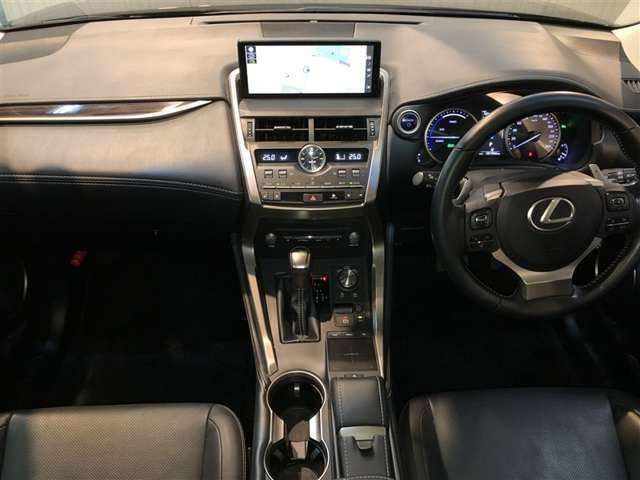 NX300h バージョンL 4WD