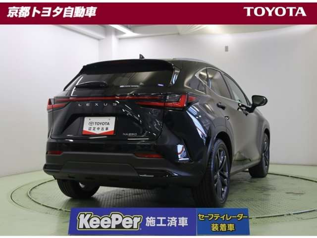 NX250 バージョンL
