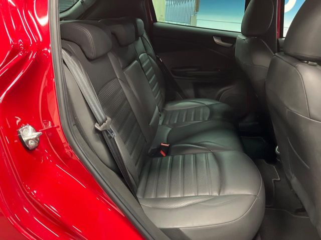 ���㕔���Ȃ��C�ɂȂ�悤�ȃL�Y�E�����ւ��蓙�A�傫�ȃ_���[�W�͂Ȃ��A�ǍD�ȏ�Ԃł��B