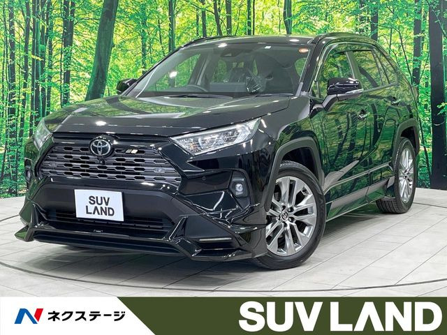 RAV42.0 G Zパッケージ 4WD