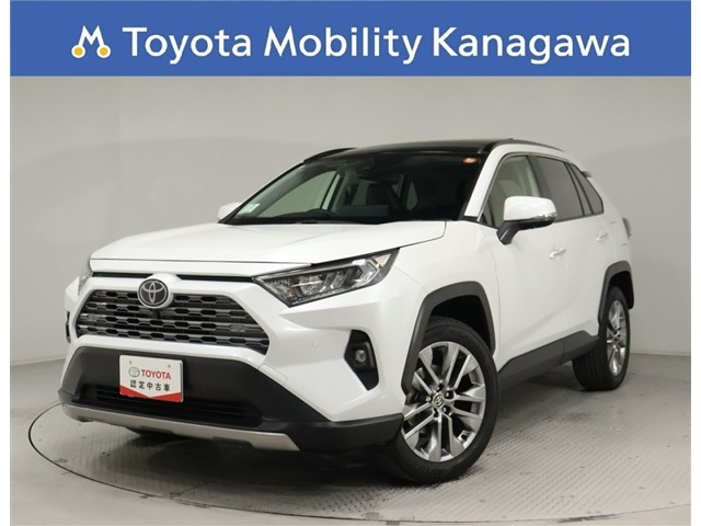 RAV4