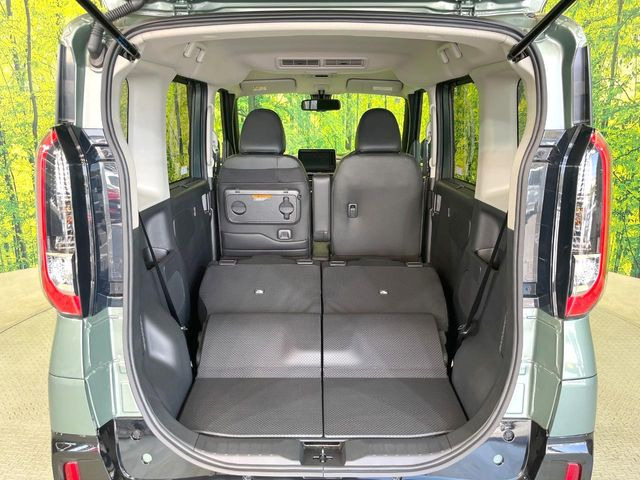 �㕔���Ȃ��C�ɂȂ�悤�ȃL�Y�E�����ւ��蓙�A�傫�ȃ_���[�W�͂Ȃ��A�ǍD�ȏ�Ԃł��B