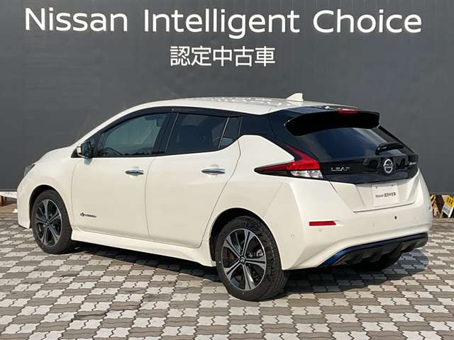 リーフe+ G
