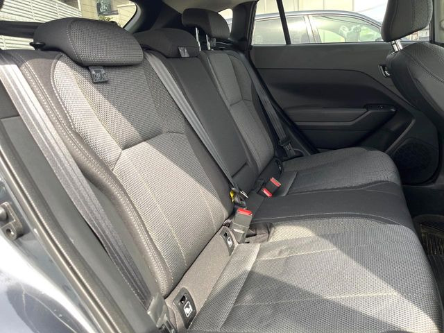 �㕔���Ȃ��C�ɂȂ�悤�ȃL�Y�E�����ւ��蓙�A�傫�ȃ_���[�W�͂Ȃ��A�ǍD�ȏ�Ԃł��B