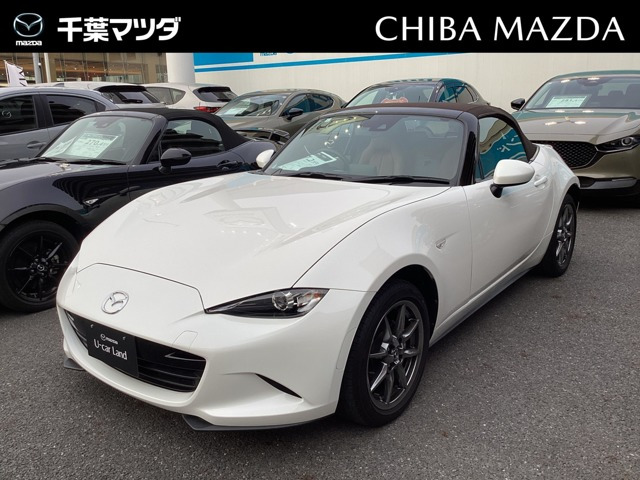 ロードスター1.5 ブラウン トップ