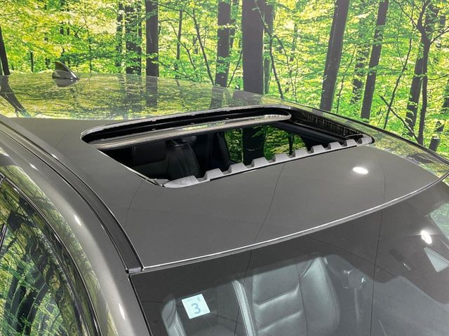 �y�T�����[�t�z�J���������Ղ�̊󏭑����A�T�����[�t����������Ă��܂�!�ԓ��ɖ�����������ꂽ��i�F���y���ވȊO�ɂ��A�ԓ��̋�C���ȒP�Ɋ��C�ł��ĉ��K�ł�!