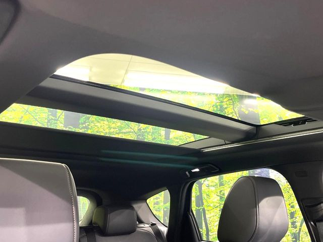 �y�T�����[�t�z�J���������Ղ�̊󏭑����A�T�����[�t����������Ă��܂�!�ԓ��ɖ�����������ꂽ��i�F���y���ވȊO�ɂ��A�ԓ��̋�C���ȒP�Ɋ��C�ł��ĉ��K�ł�!