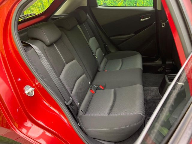 �㕔���Ȃ��C�ɂȂ�悤�ȃL�Y�E�����ւ��蓙�A�傫�ȃ_���[�W�͂Ȃ��A�ǍD�ȏ�Ԃł��B