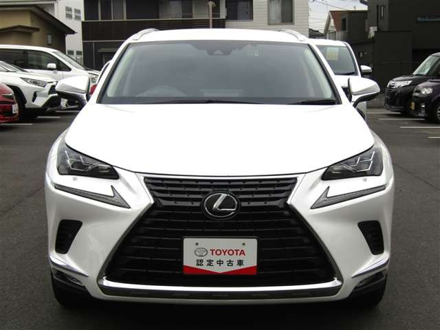 NX300 バージョンL 4WD