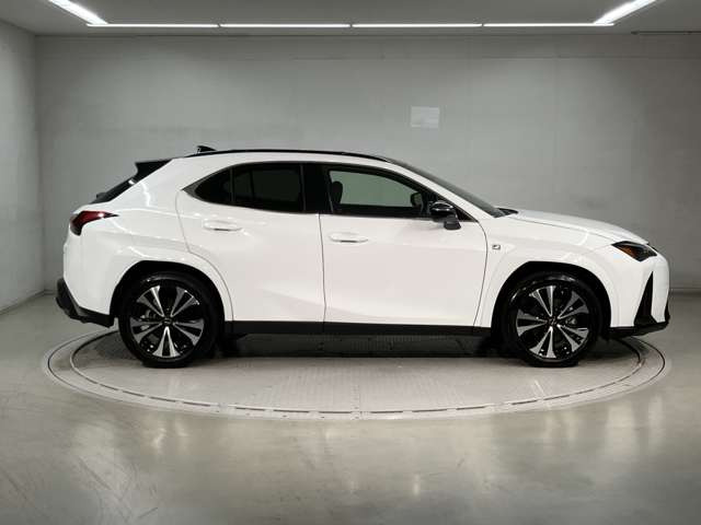 UX250h Fスポーツ エモーショナル エクスプローラー