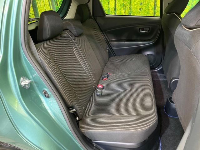 �㕔���Ȃ��C�ɂȂ�悤�ȃL�Y�E�����ւ��蓙�A�傫�ȃ_���[�W�͂Ȃ��A�ǍD�ȏ�Ԃł��B