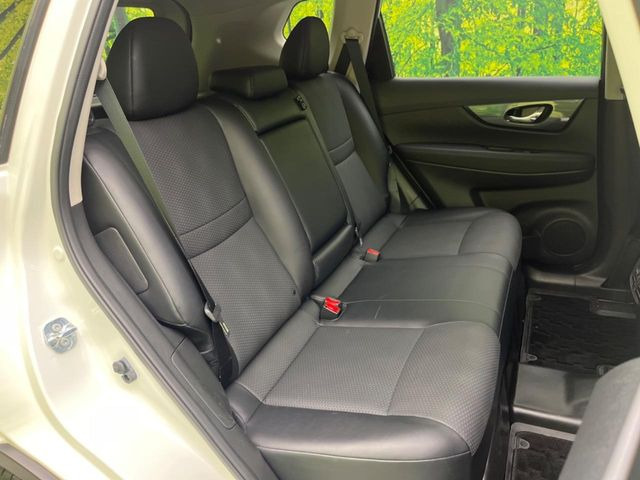 �㕔���Ȃ��C�ɂȂ�悤�ȃL�Y�E�����ւ��蓙�A�傫�ȃ_���[�W�͂Ȃ��A�ǍD�ȏ�Ԃł��B