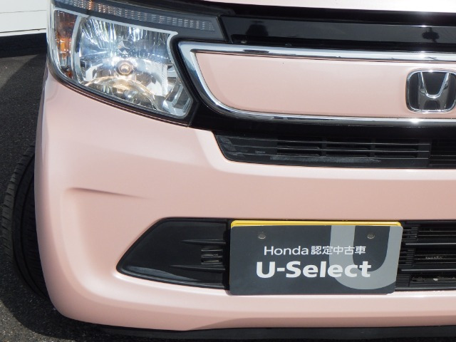 N-WGNG Lパッケージ