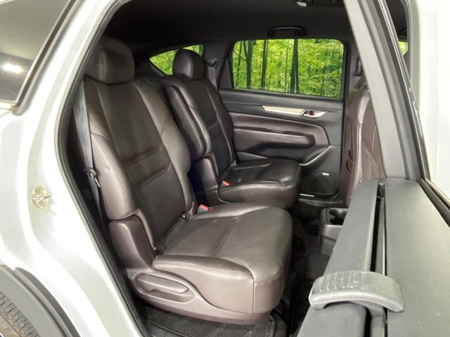 �㕔���Ȃ��C�ɂȂ�悤�ȃL�Y�E�����ւ��蓙�A�傫�ȃ_���[�W�͂Ȃ��A�ǍD�ȏ�Ԃł��B