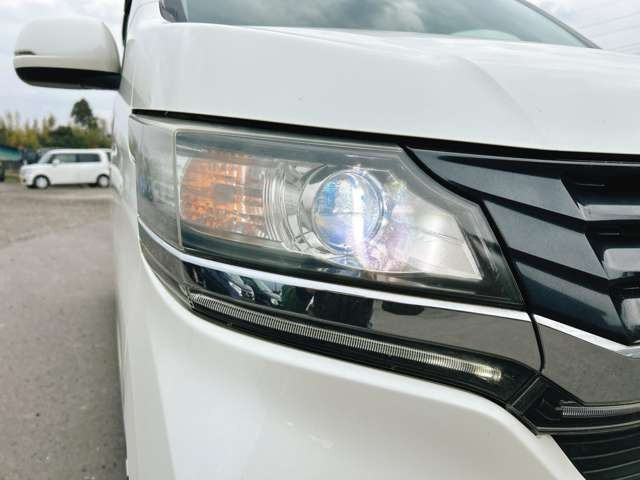 �yHID�w�b�h���C�g�z�]���̃n���Q���w�b�h���C�g�������邭�����L�͈͂��Ƃ炷�w�b�h���C�g�ł�!���S�^�]���菕�����Ă���܂��B