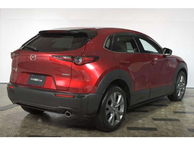 CX-301.8 XD プロアクティブ ツーリングセレクション