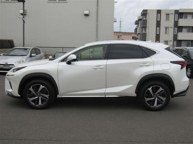 NX300 バージョンL 4WD