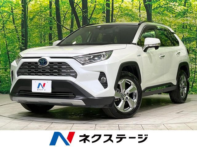 RAV42.5 ハイブリッド G E-Four 4WD