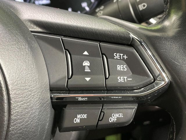 �y�}�c�_�E���[�_�[�N���[�Y�R���g���[���z�������H�ł̒��������s���y��!�����ő��x��ۂN���[�Y�R���g���[�����A�Փˌy���V�X�e���ƘA�g���A�O���̎ԗ������m���ĎԊԂ�ۂ悤�ɑ��x���߂��Ă���܂�!!