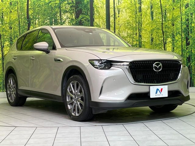 高透明度のガラス皮膜で撥水はもちろん、上質なツヤ・光沢を実現。紫外線や酸性雨から大切な愛車を保護し、色あせ・劣化を防止。「弾スプラッシュコート」、「弾プリミッサコート」からお選びいただけます。