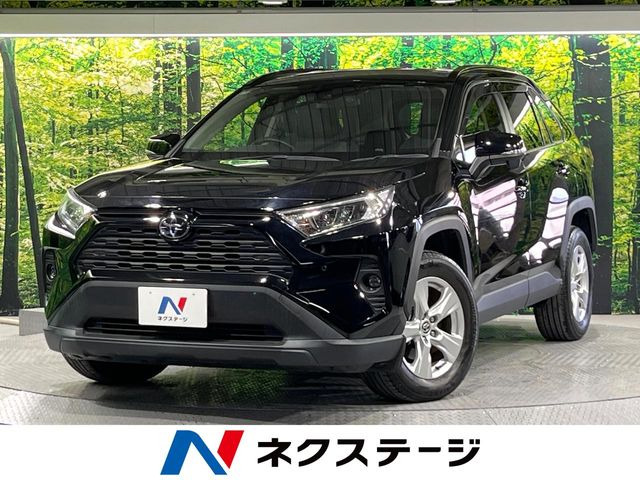 RAV42.0 X