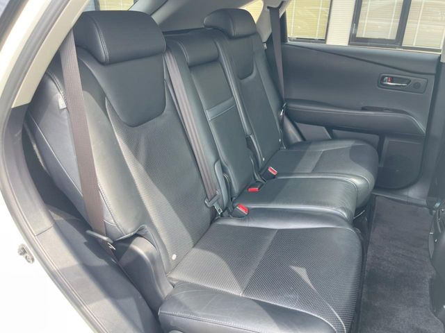 �㕔���Ȃ��C�ɂȂ�悤�ȃL�Y�E�����ւ��蓙�A�傫�ȃ_���[�W�͂Ȃ��A�ǍD�ȏ�Ԃł��B