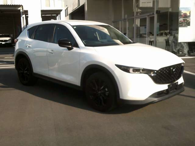 CX-52.0 20S ブラックトーンエディション