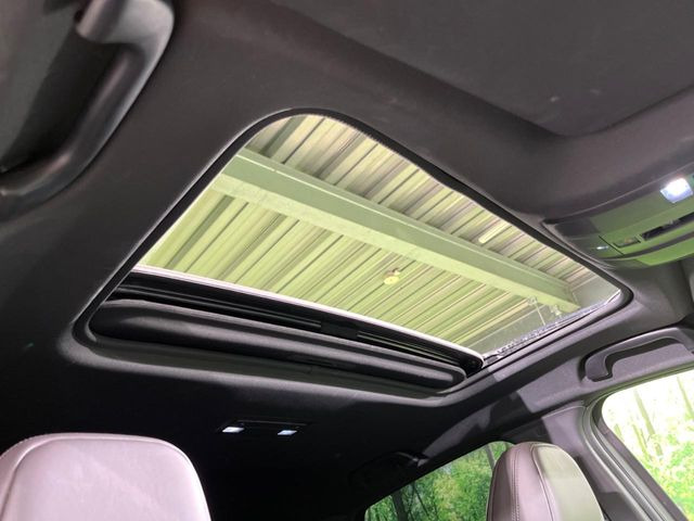 �y�T�����[�t�z�J���������Ղ�̊󏭑����A�T�����[�t����������Ă��܂�!�ԓ��ɖ�����������ꂽ��i�F���y���ވȊO�ɂ��A�ԓ��̋�C���ȒP�Ɋ��C�ł��ĉ��K�ł�!