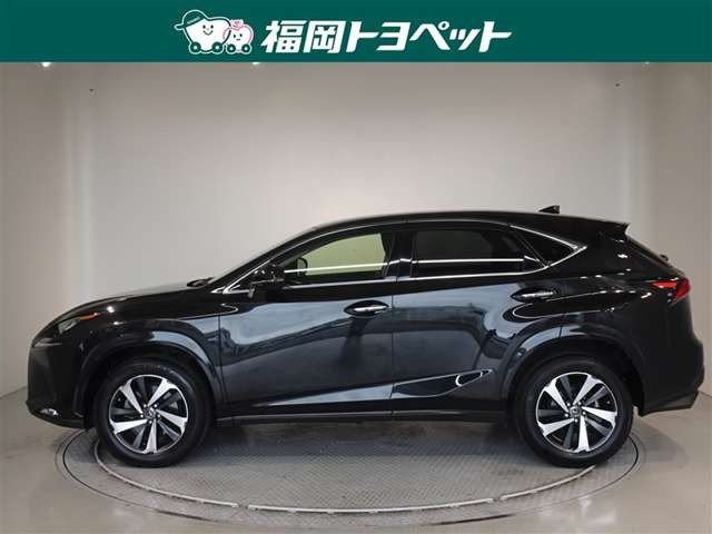 NX300 ブラック シークエンス