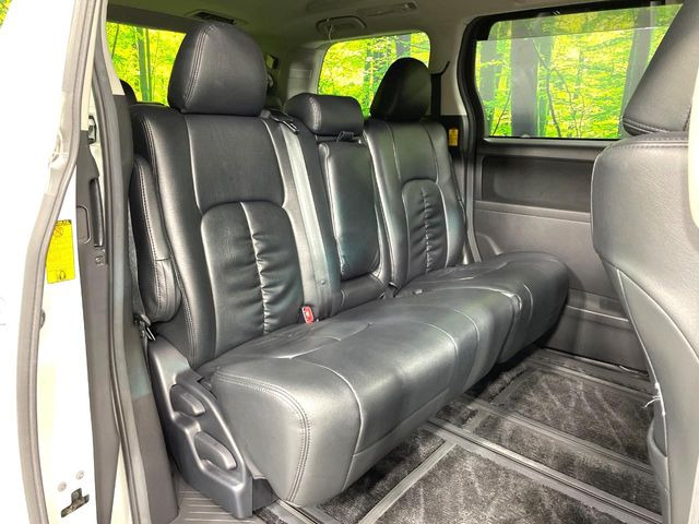 �㕔���Ȃ��C�ɂȂ�悤�ȃL�Y�E�����ւ��蓙�A�傫�ȃ_���[�W�͂Ȃ��A�ǍD�ȏ�Ԃł��B