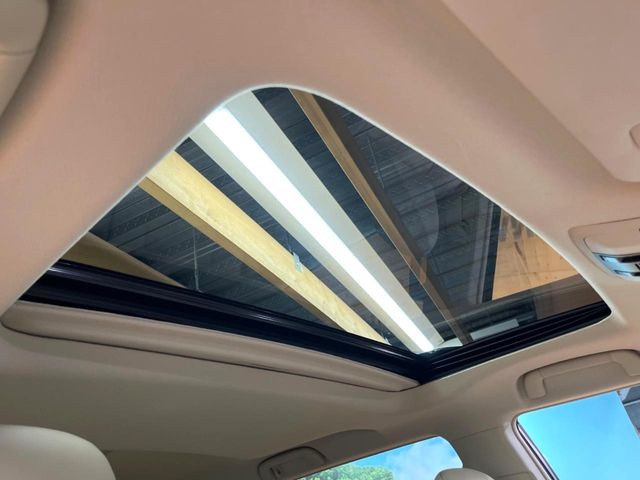 �y�T�����[�t�z�J���������Ղ�̊󏭑����A�T�����[�t����������Ă��܂�!�ԓ��ɖ�����������ꂽ��i�F���y���ވȊO�ɂ��A�ԓ��̋�C���ȒP�Ɋ��C�ł��ĉ��K�ł�!