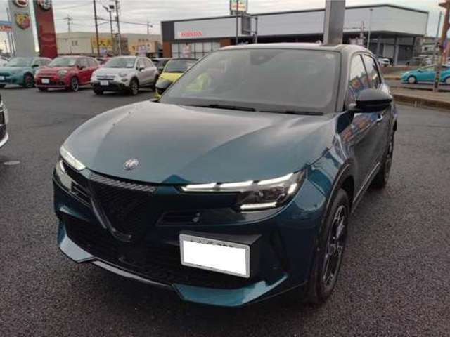 ジュニアイブリダ プレミアム