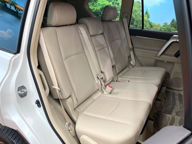 �㕔���Ȃ��C�ɂȂ�悤�ȃL�Y�E�����ւ��蓙�A�傫�ȃ_���[�W�͂Ȃ��A�ǍD�ȏ�Ԃł��B