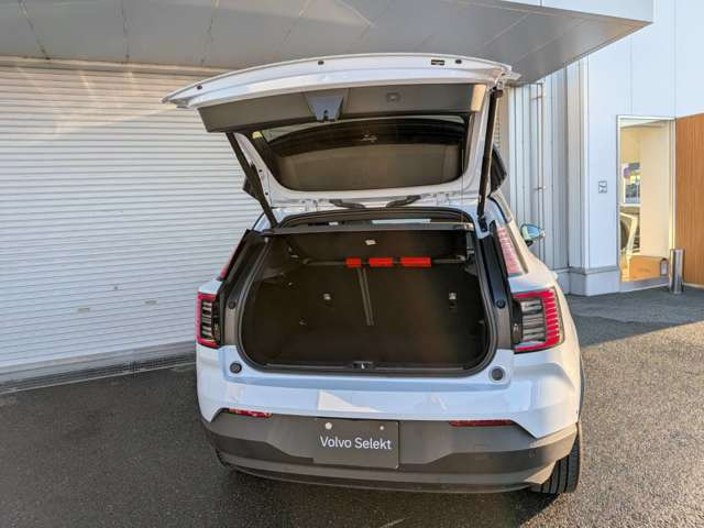 EX30ウルトラ シングルモーター エクステンデッド レンジ