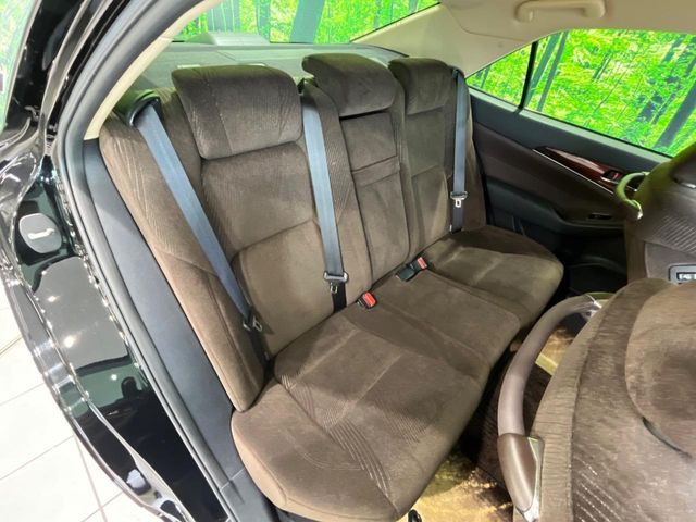 �㕔���Ȃ��C�ɂȂ�悤�ȃL�Y�E�����ւ��蓙�A�傫�ȃ_���[�W�͂Ȃ��A�ǍD�ȏ�Ԃł��B