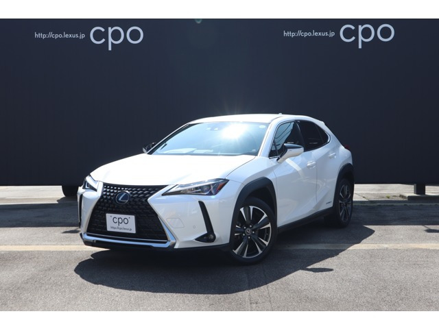 UX250h バージョンC