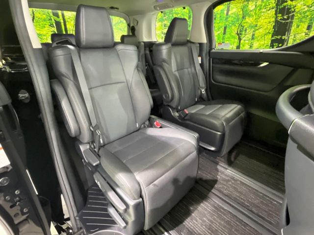 �㕔���Ȃ��C�ɂȂ�悤�ȃL�Y�E�����ւ��蓙�A�傫�ȃ_���[�W�͂Ȃ��A�ǍD�ȏ�Ԃł��B