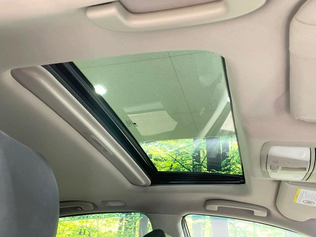 �y�T�����[�t�z�J���������Ղ�̊󏭑����A�T�����[�t����������Ă��܂�!�ԓ��ɖ�����������ꂽ��i�F���y���ވȊO�ɂ��A�ԓ��̋�C���ȒP�Ɋ��C�ł��ĉ��K�ł�!