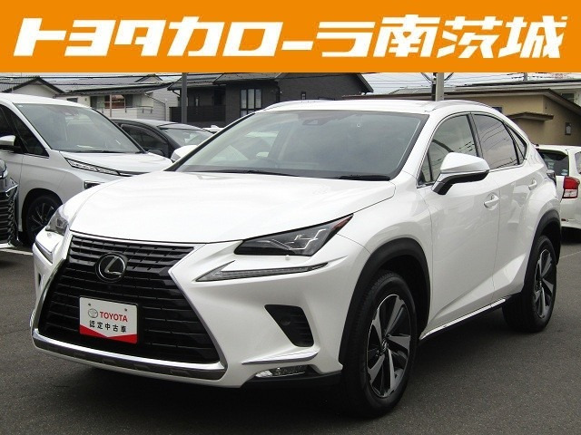 NX300 バージョンL 4WD