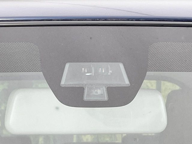 アルトラパンFリミテッド