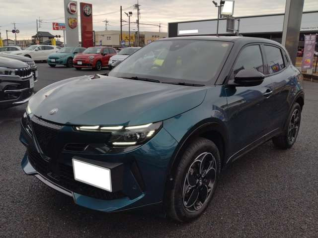 ジュニアイブリダ プレミアム