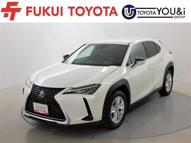 UX250h バージョンC